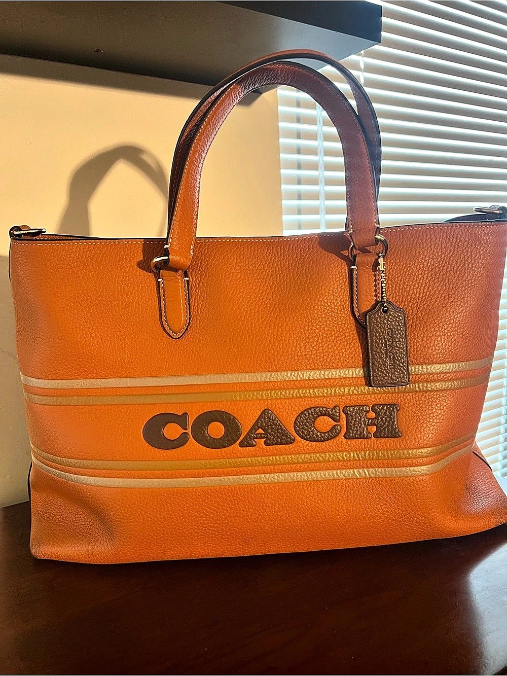 Coach Top Logan Carryall Canyon Multi Tote